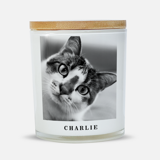 Pet Loss Memorial Candle White Glass